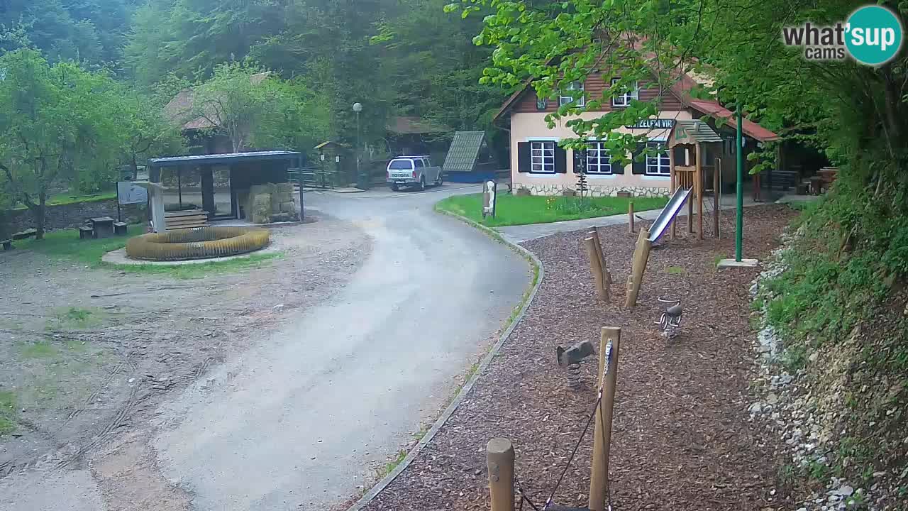 Skrad webcam Zeleni Vir