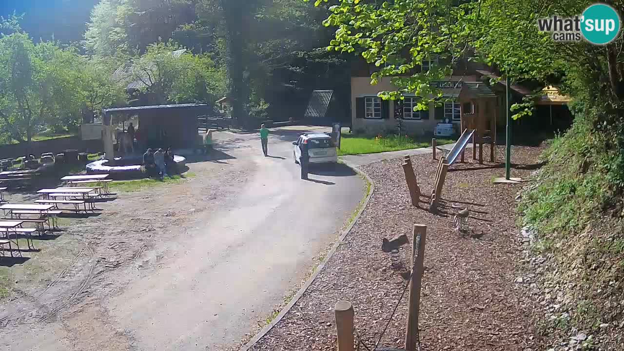 Skrad webcam Zeleni Vir