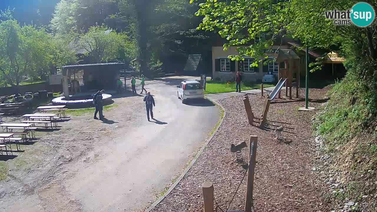 Skrad webcam Zeleni Vir