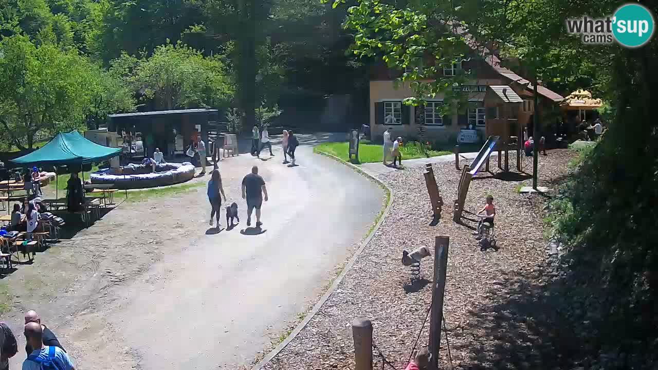 Skrad webcam Zeleni Vir