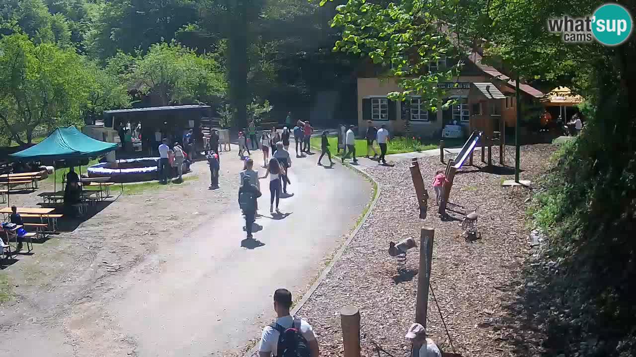 Skrad Livecam Zeleni Vir