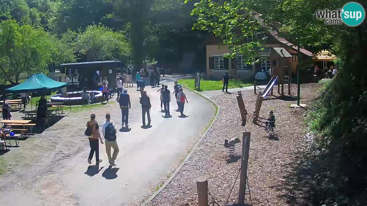 Skrad webcam Zeleni Vir