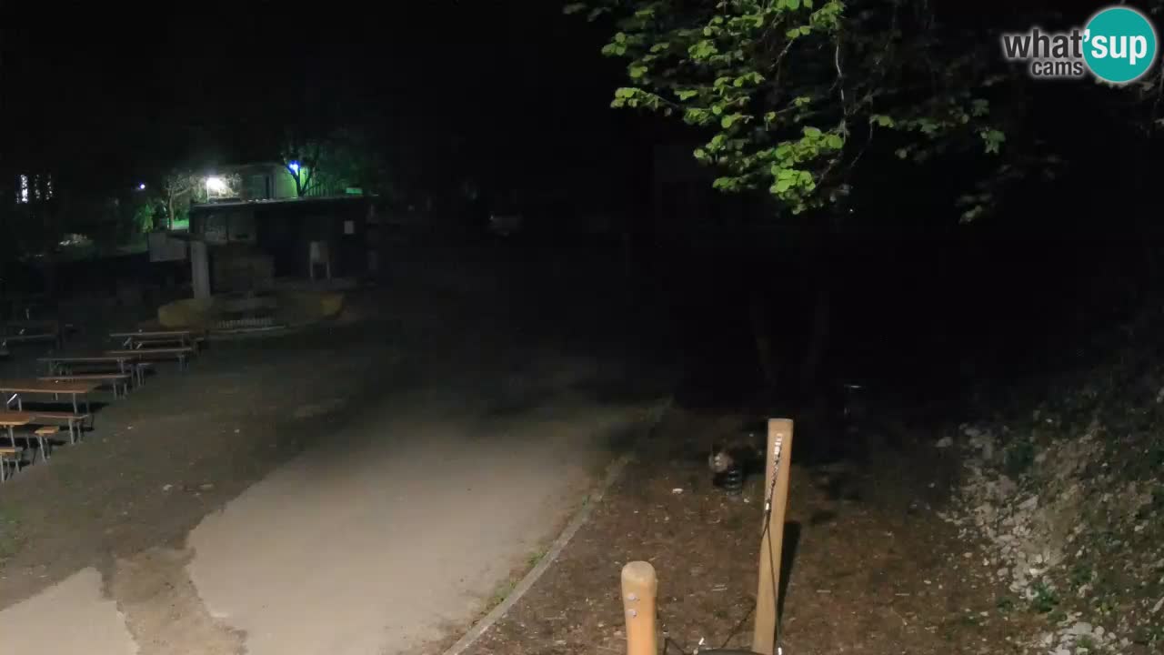 Skrad live cam Zeleni Vir