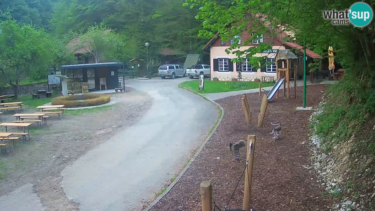 Skrad webcam Zeleni Vir