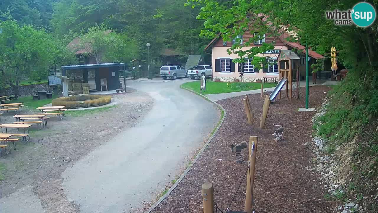 Skrad Livecam Zeleni Vir