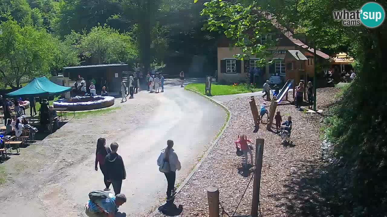 Skrad webcam Zeleni Vir