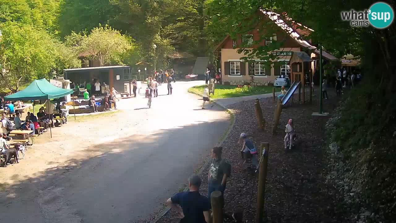 Skrad spletna kamera Zeleni Vir