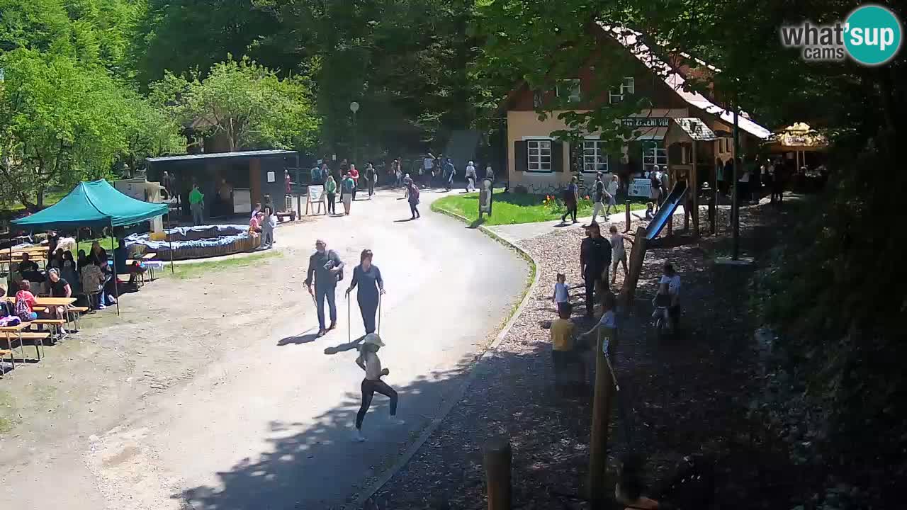Skrad webcam Zeleni Vir