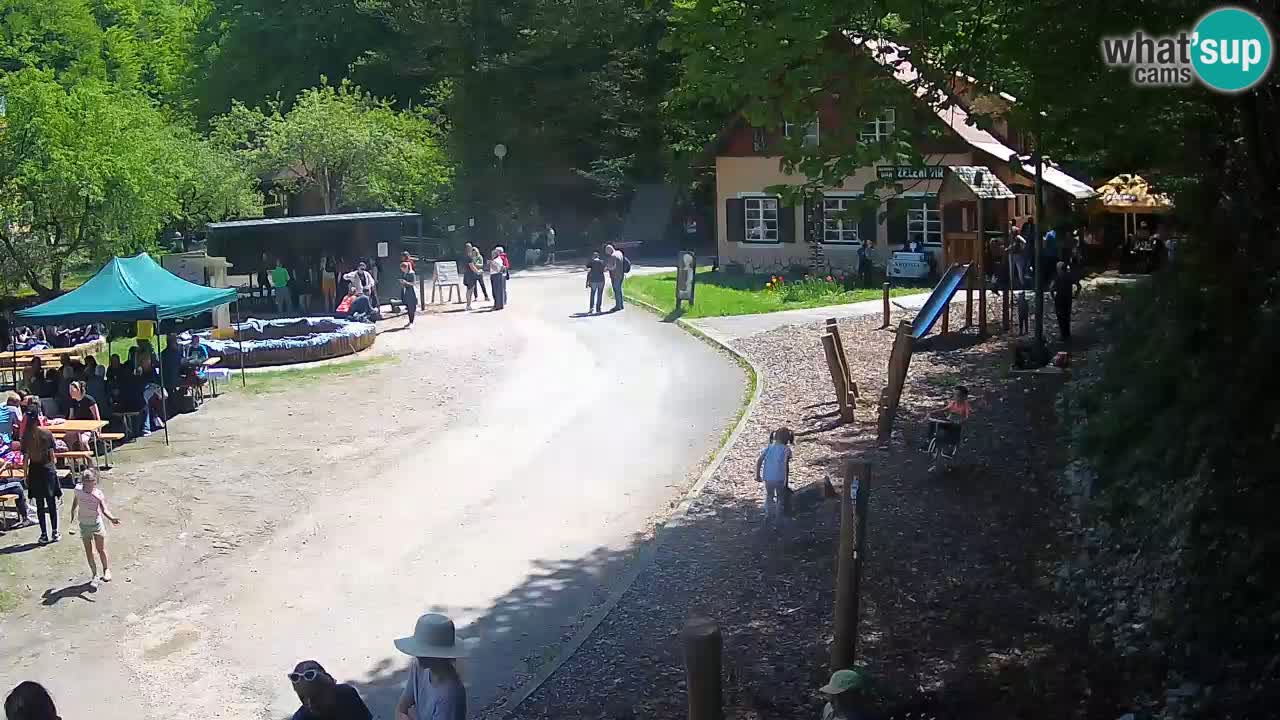 Skrad webcam Zeleni Vir