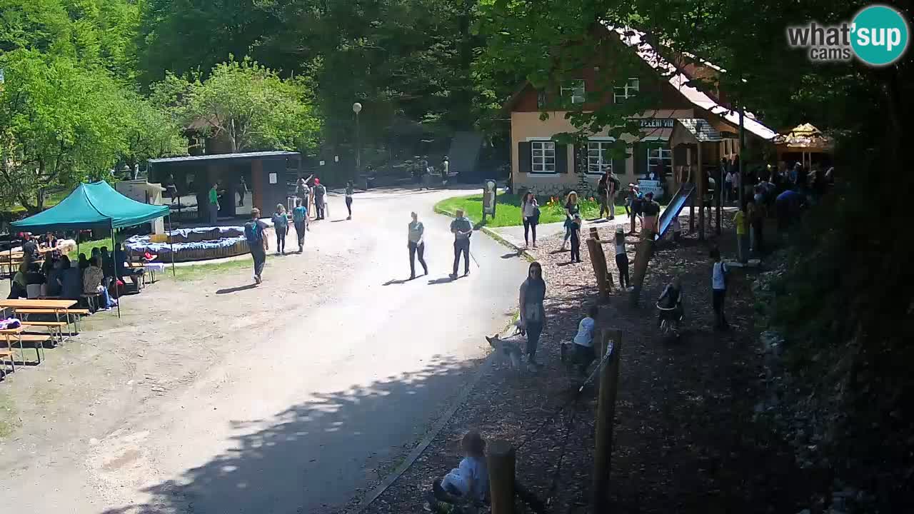 Skrad Livecam Zeleni Vir