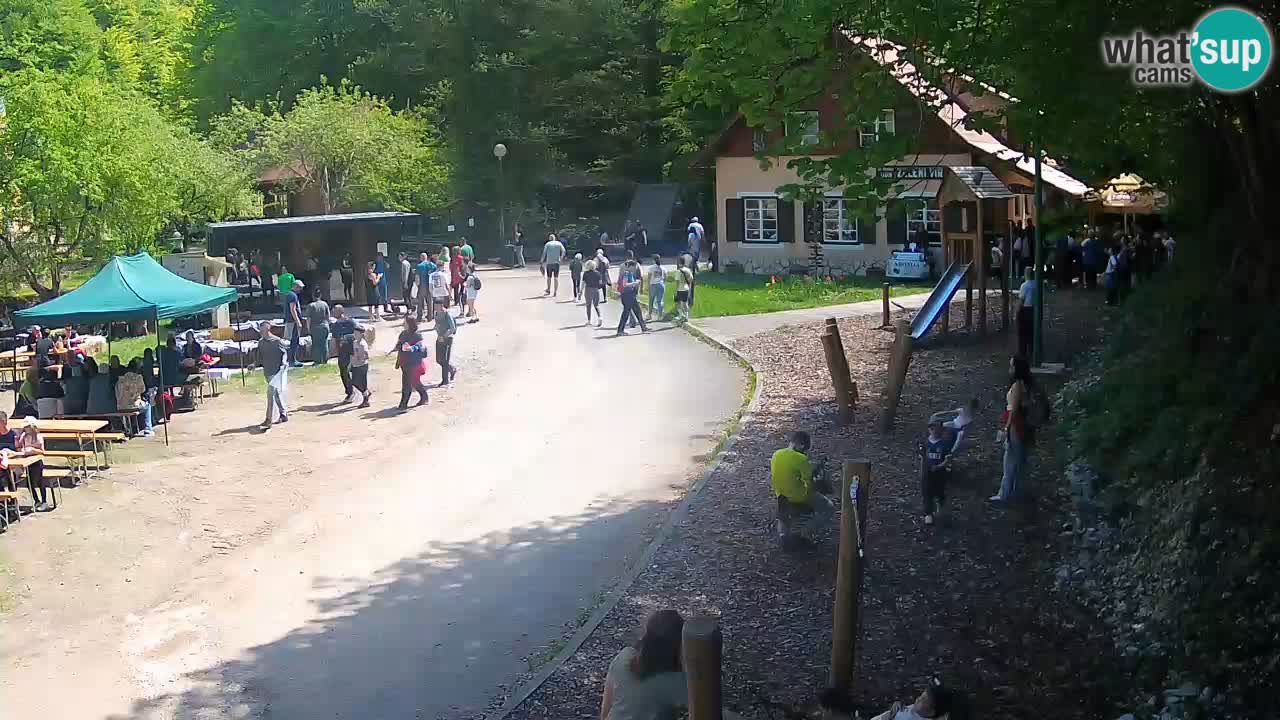 Skrad webcam Zeleni Vir