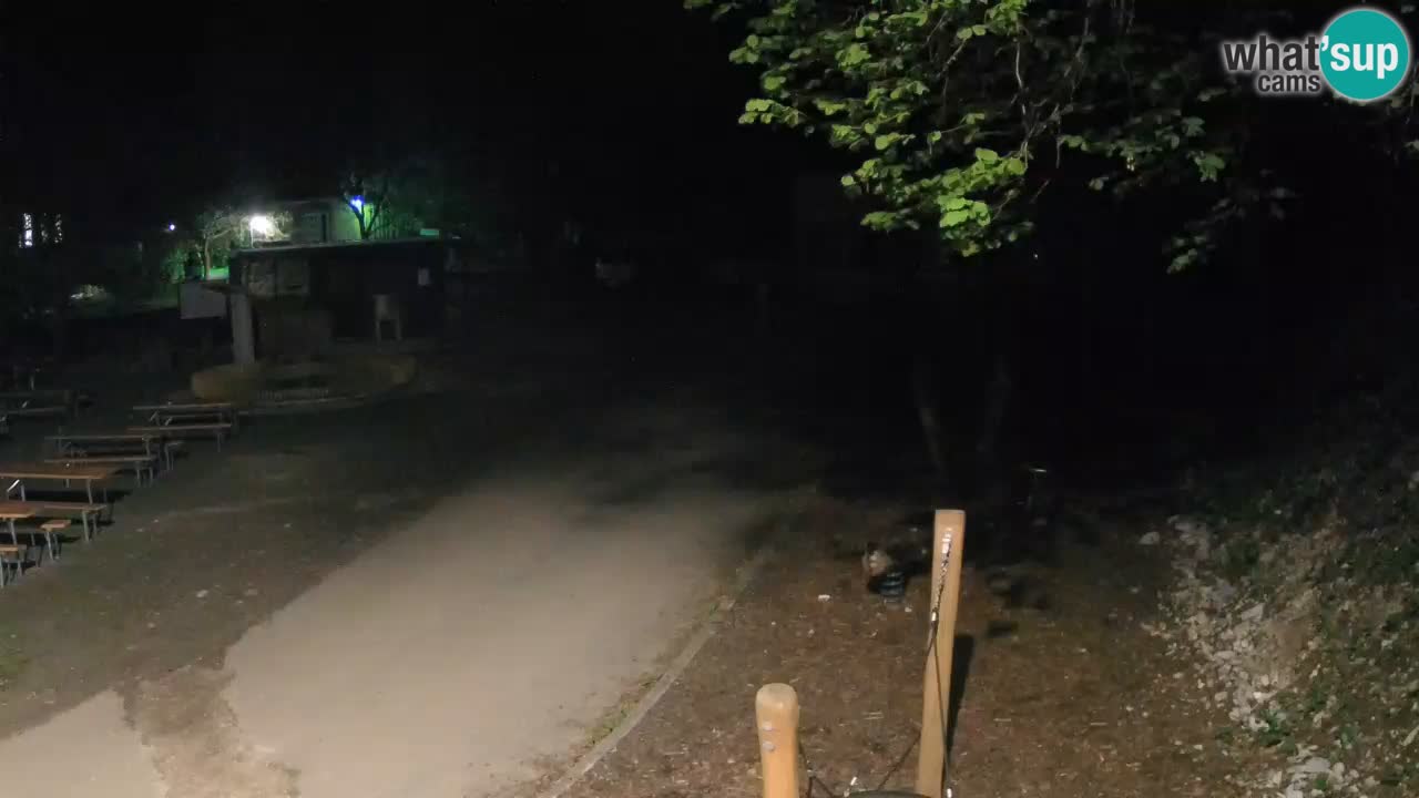 Skrad webcam Zeleni Vir