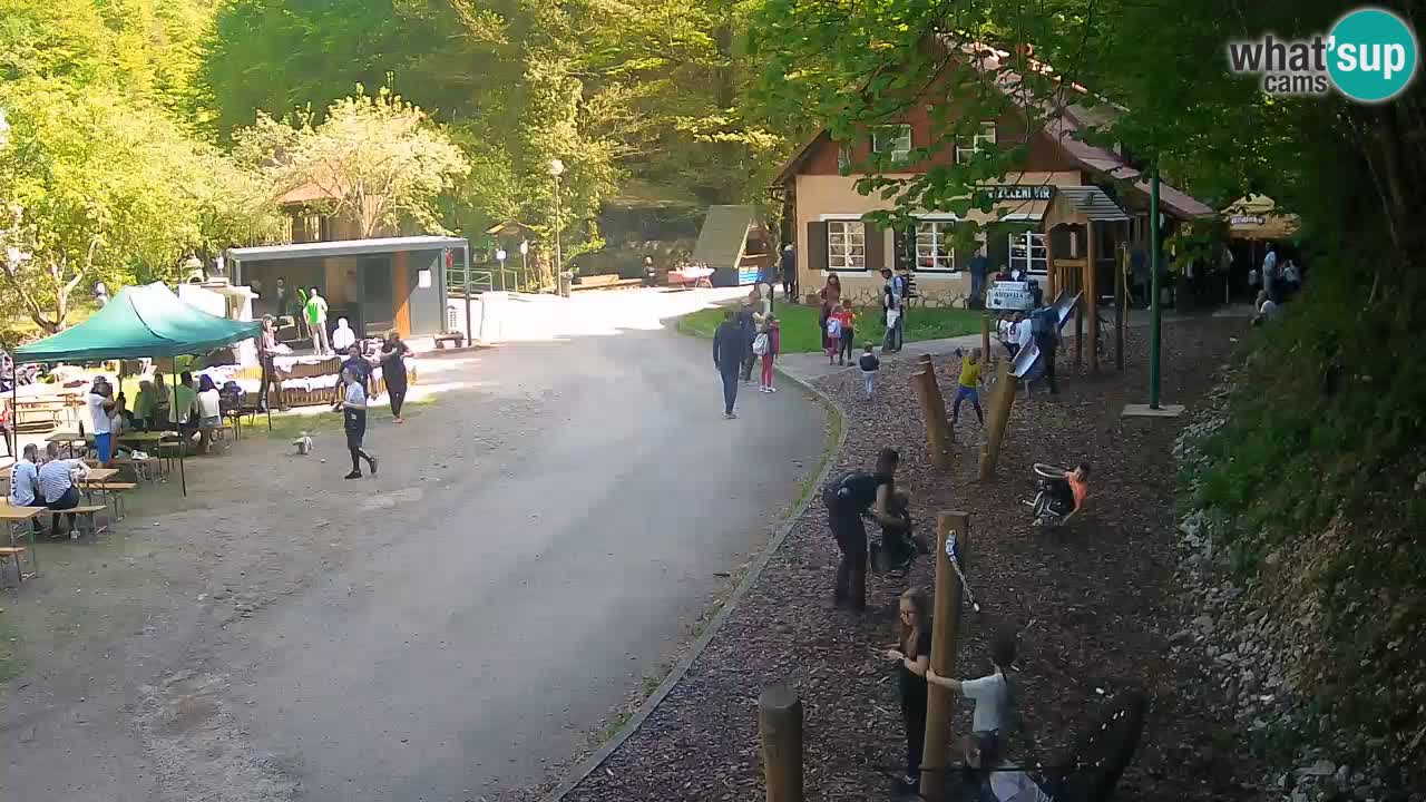 Skrad spletna kamera Zeleni Vir