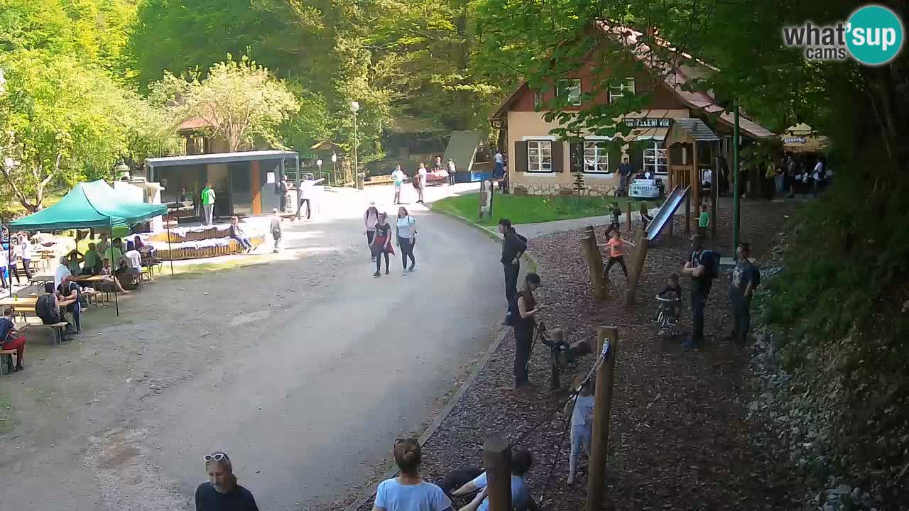 Skrad spletna kamera Zeleni Vir
