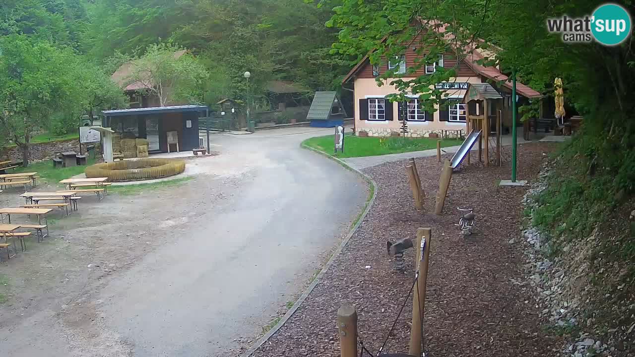 Skrad spletna kamera Zeleni Vir