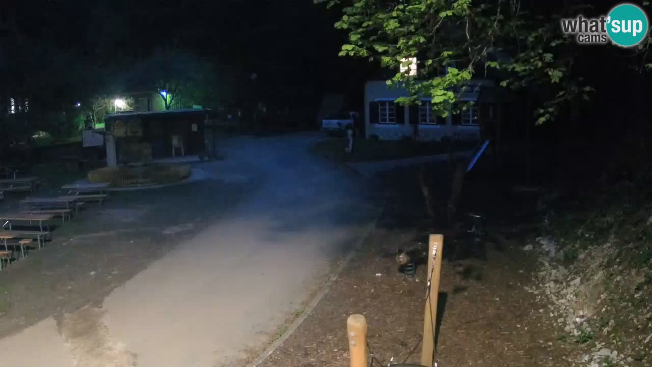 Skrad webcam Zeleni Vir