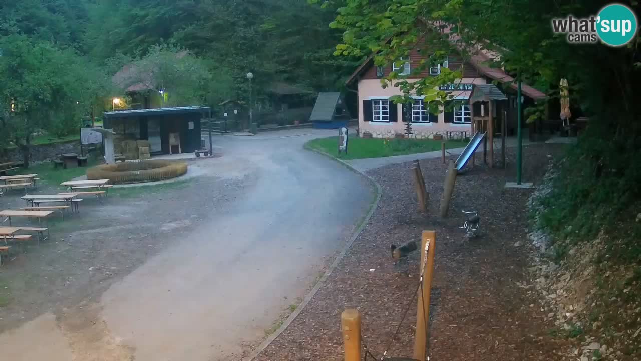 Skrad livecam Zeleni Vir