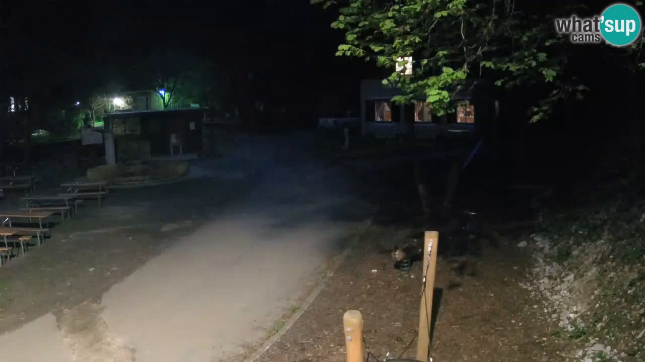 Skrad livecam Zeleni Vir