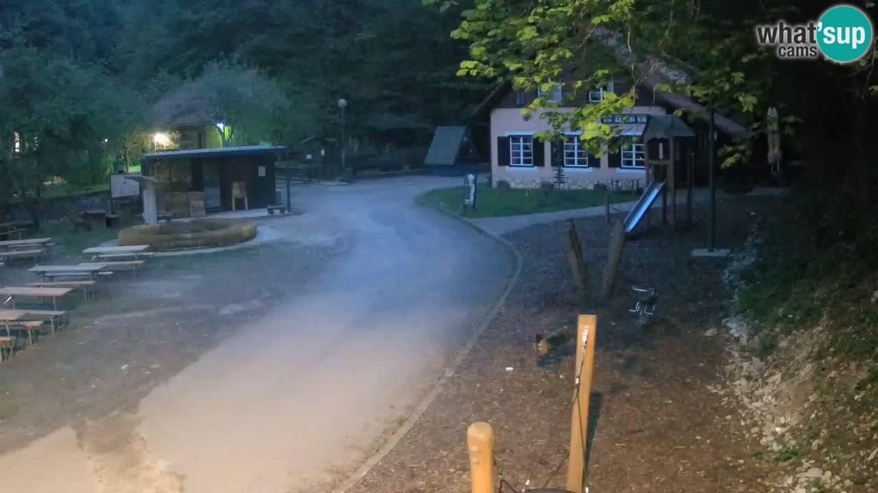 Skrad live cam Zeleni Vir