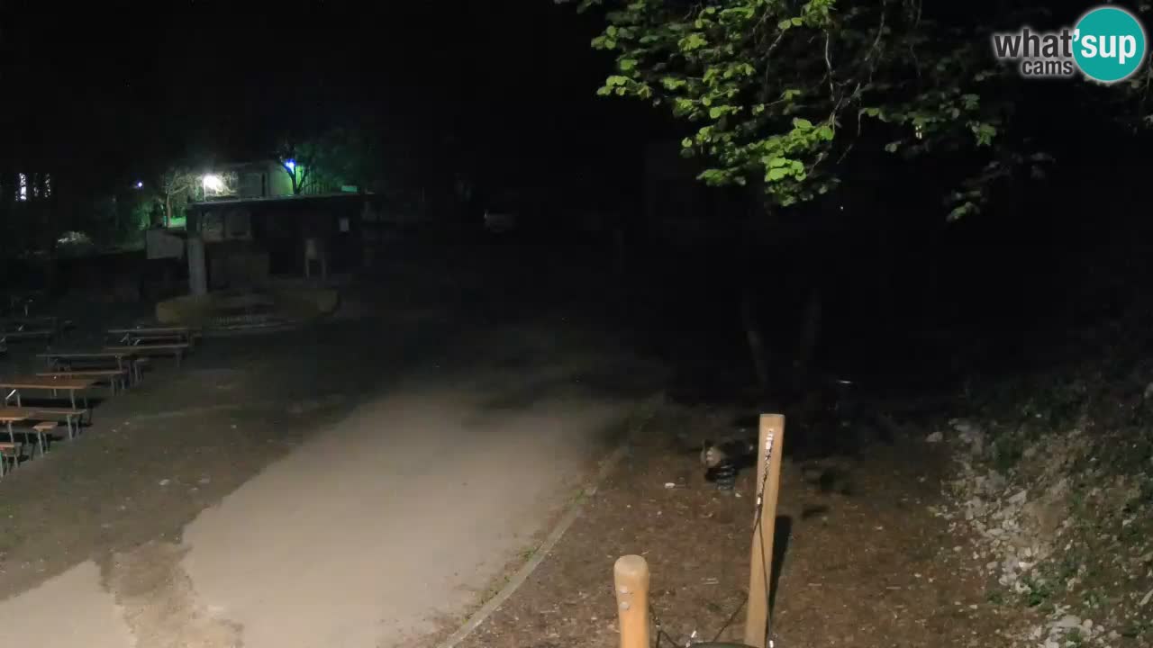 Skrad livecam Zeleni Vir
