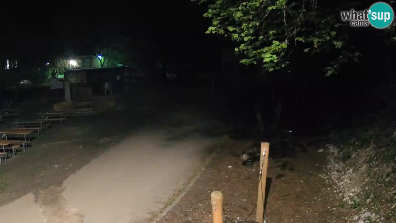 Skrad spletna kamera Zeleni Vir