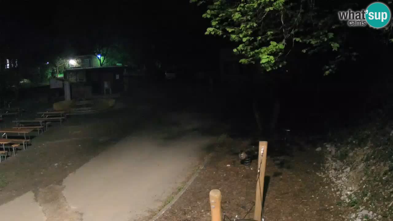 Skrad webcam Zeleni Vir