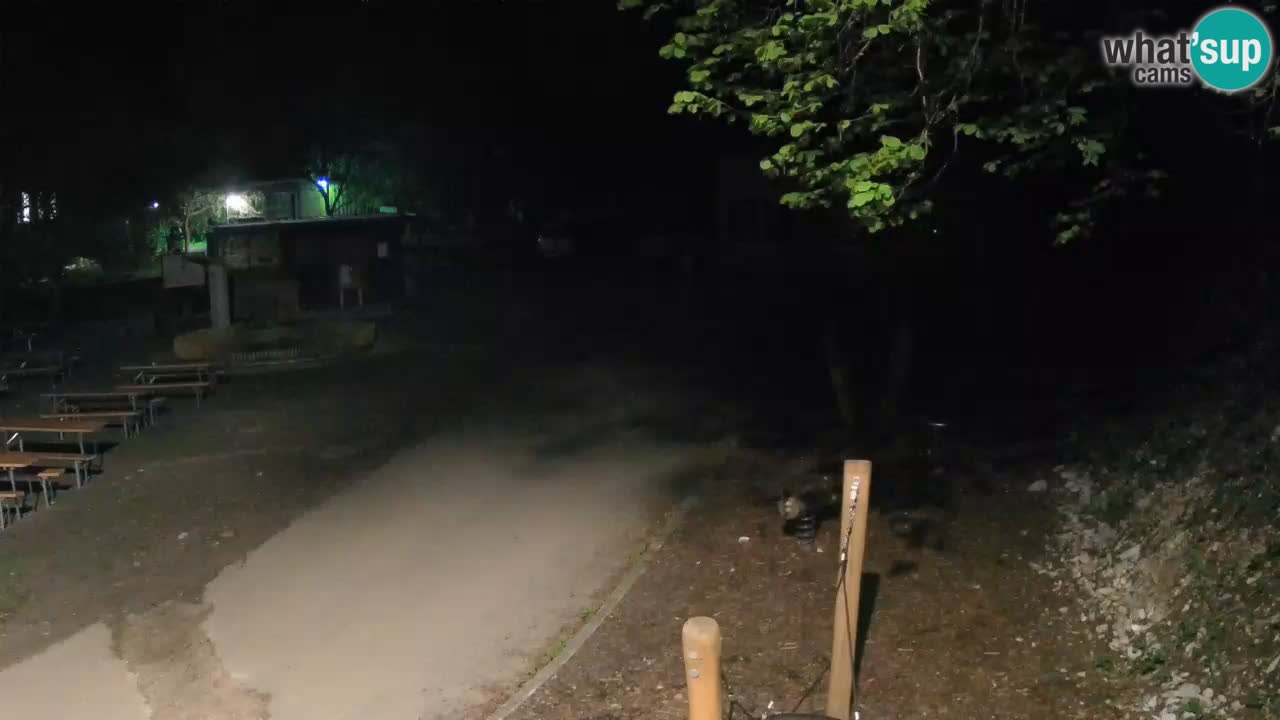 Skrad Livecam Zeleni Vir