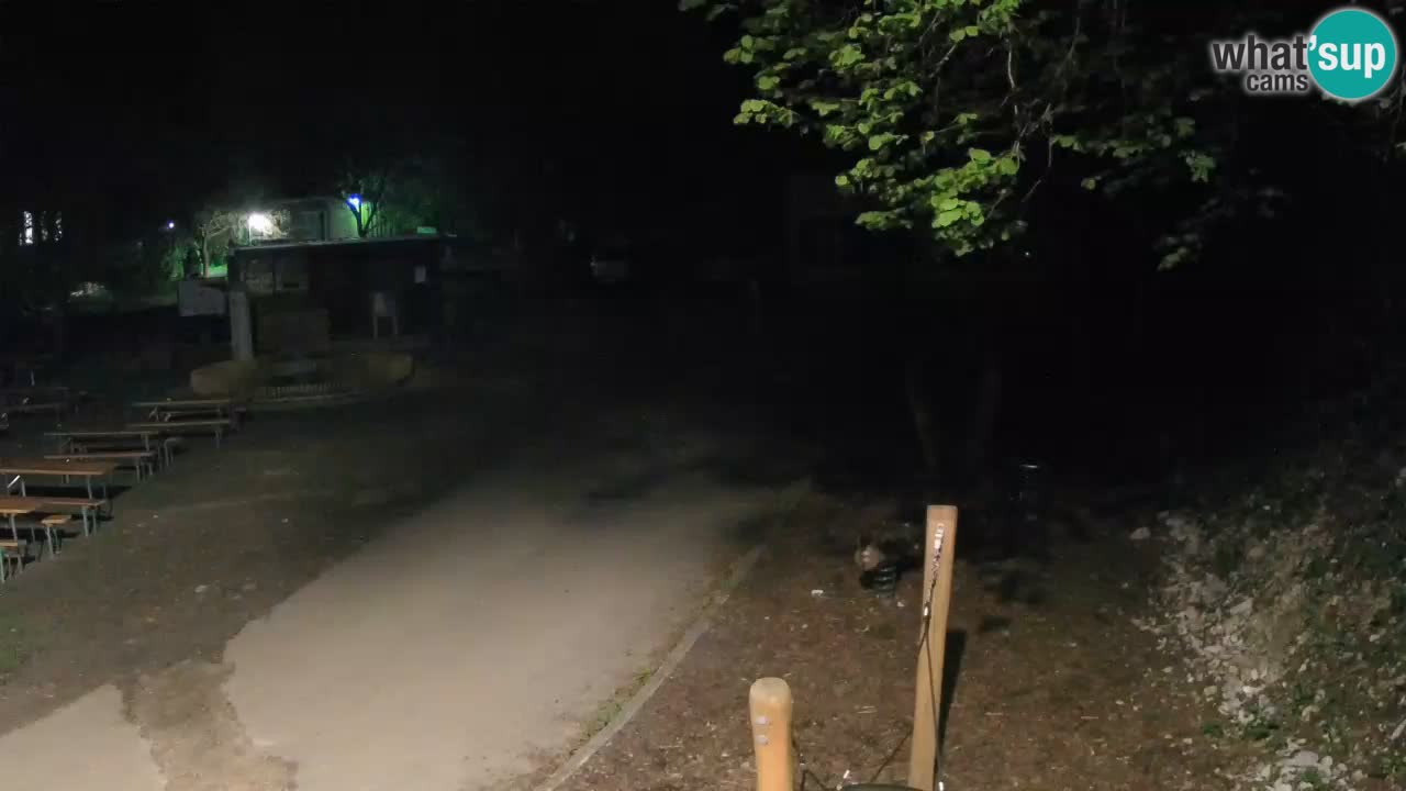 Skrad livecam Zeleni Vir