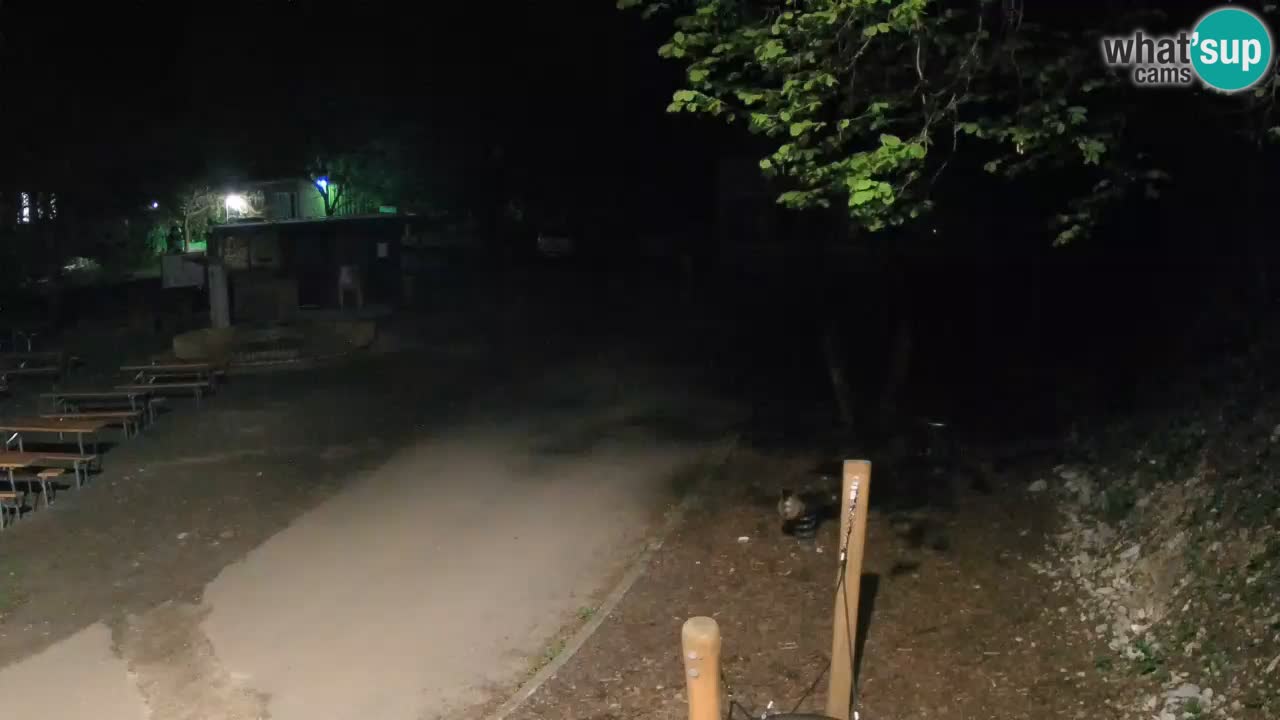 Skrad livecam Zeleni Vir