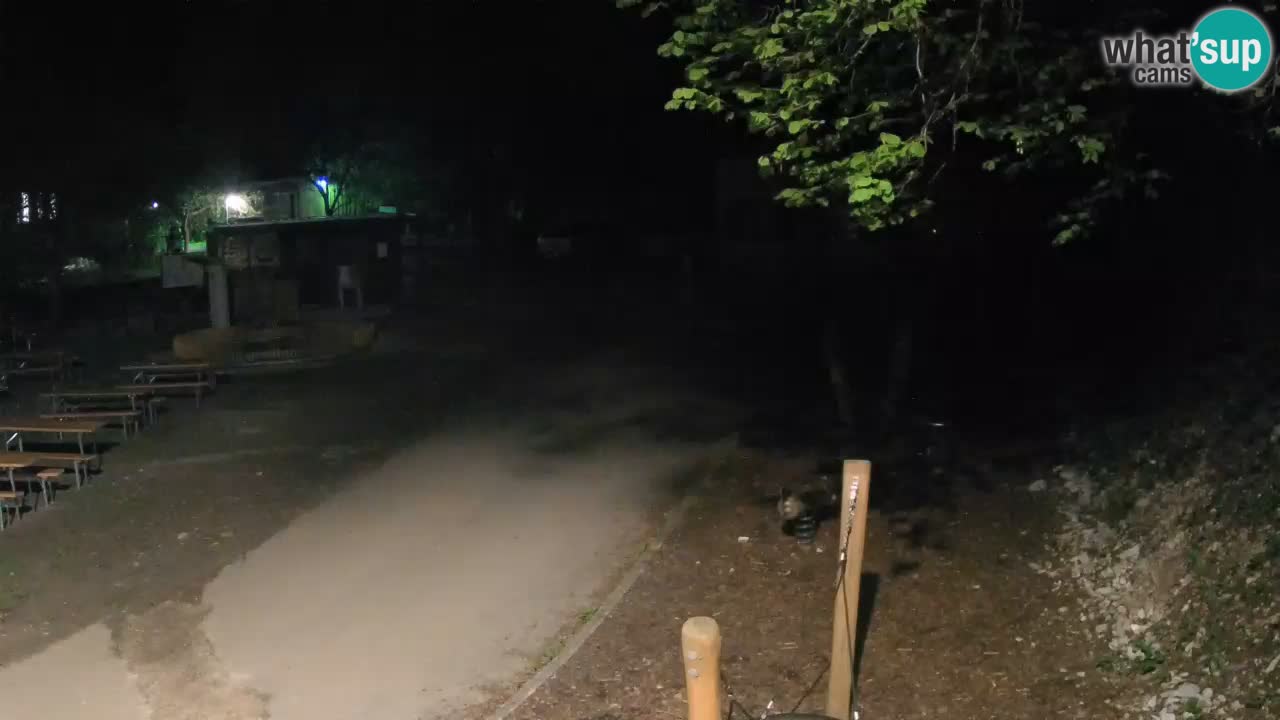Skrad livecam Zeleni Vir