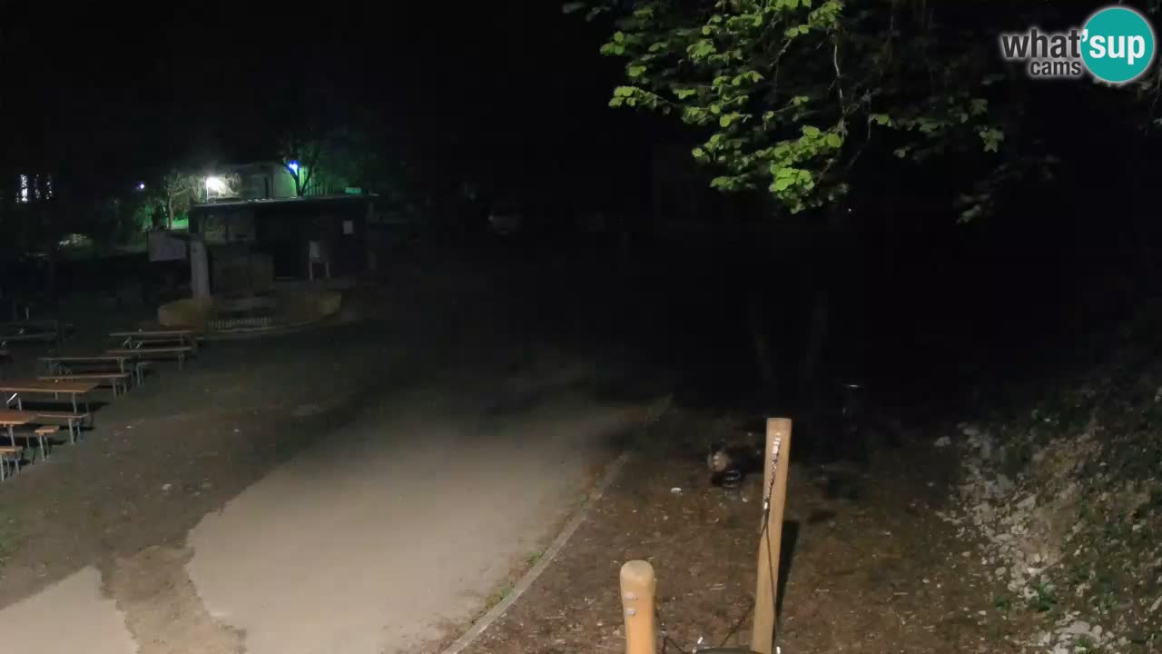 Skrad Livecam Zeleni Vir