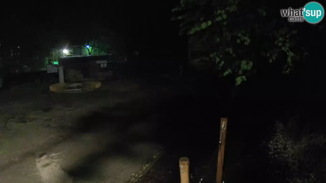 Skrad web kamera Zeleni Vir
