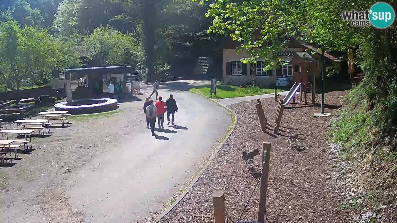 Skrad webcam Zeleni Vir