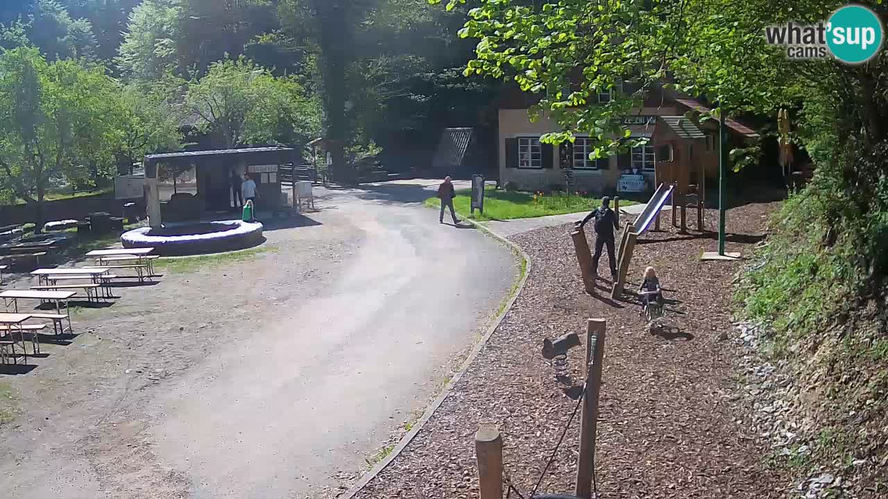 Skrad webcam Zeleni Vir