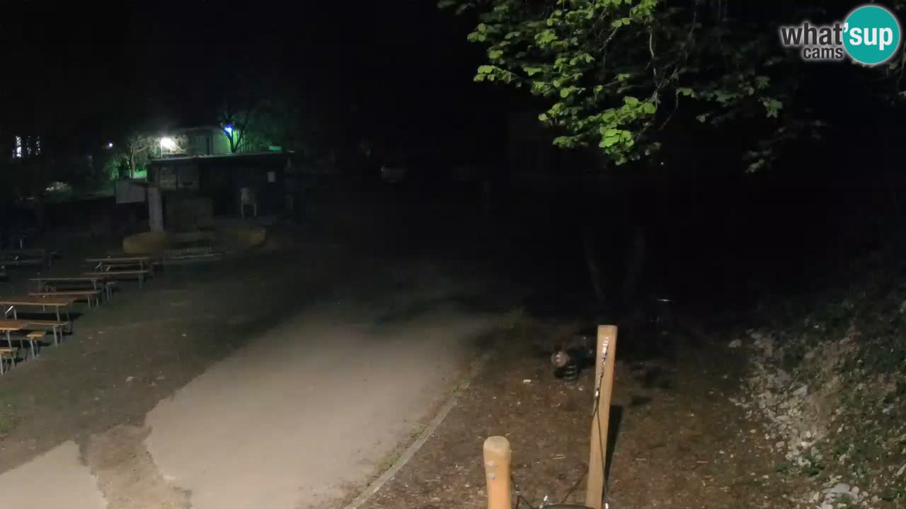 Skrad Livecam Zeleni Vir