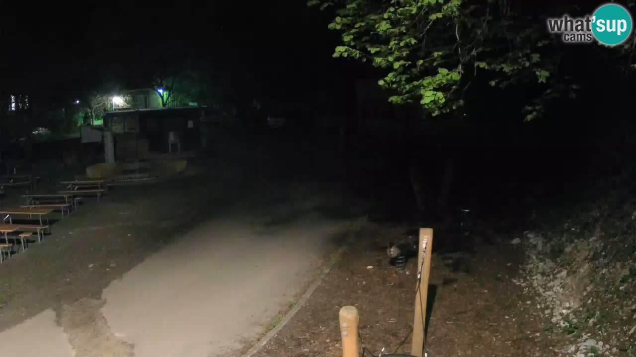 Skrad livecam Zeleni Vir