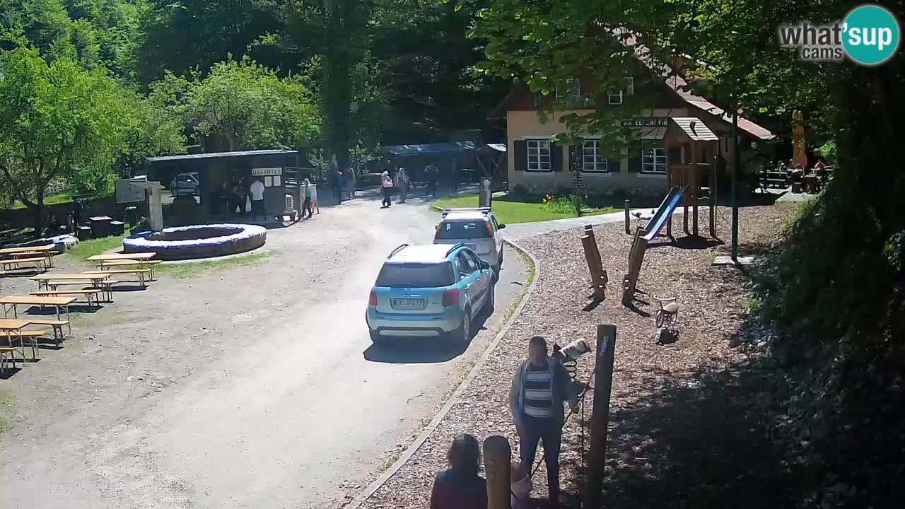 Skrad webcam Zeleni Vir