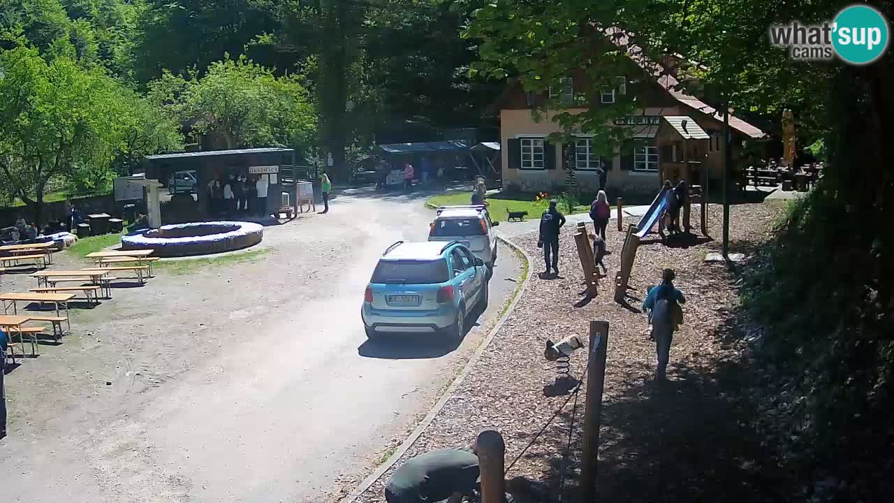 Skrad web kamera Zeleni Vir