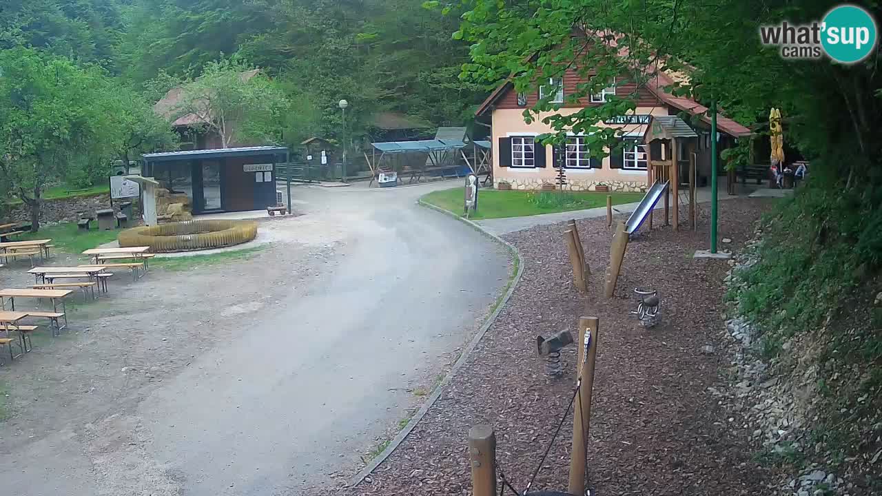 Skrad webcam Zeleni Vir