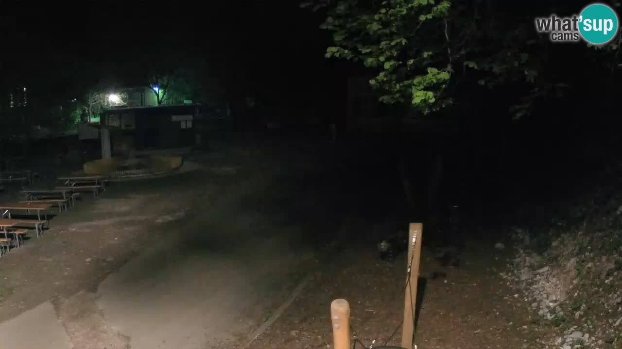Skrad spletna kamera Zeleni Vir