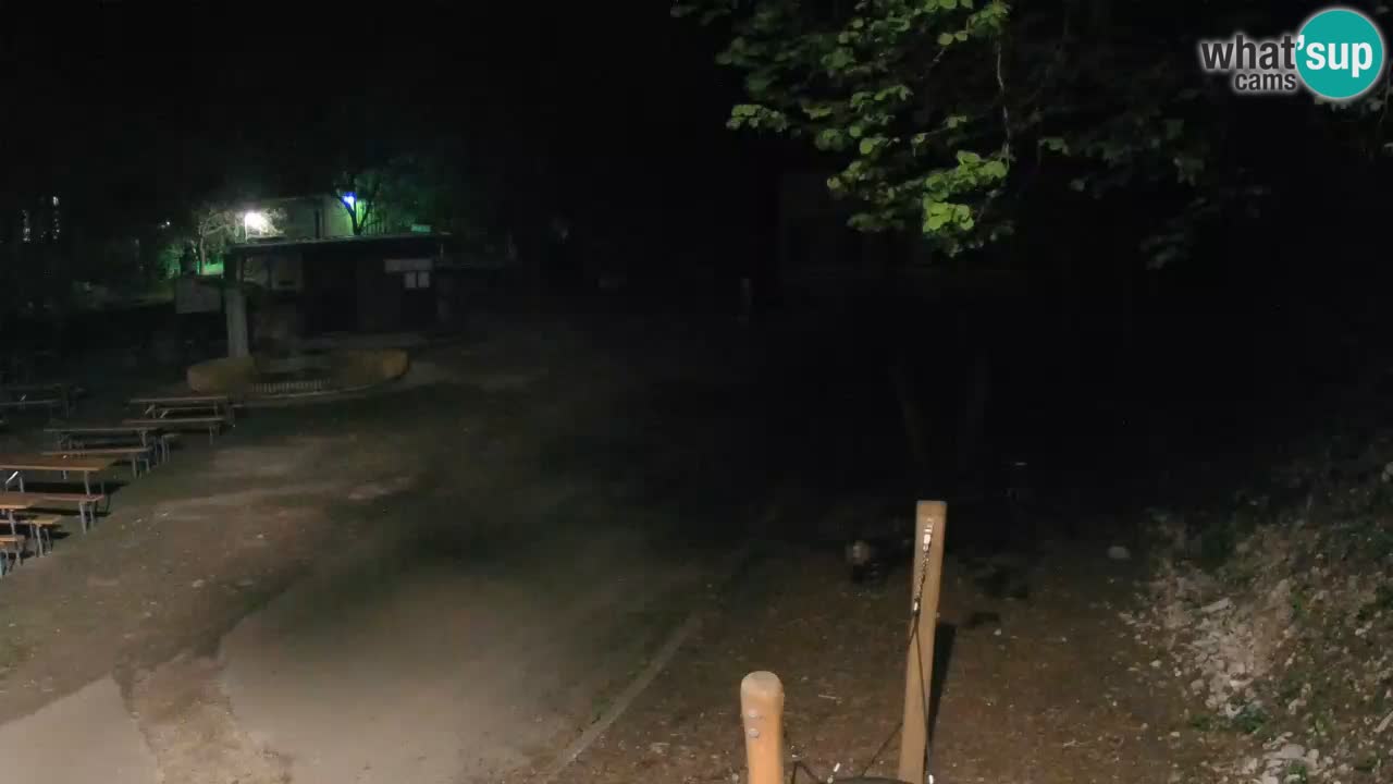 Skrad web kamera Zeleni Vir