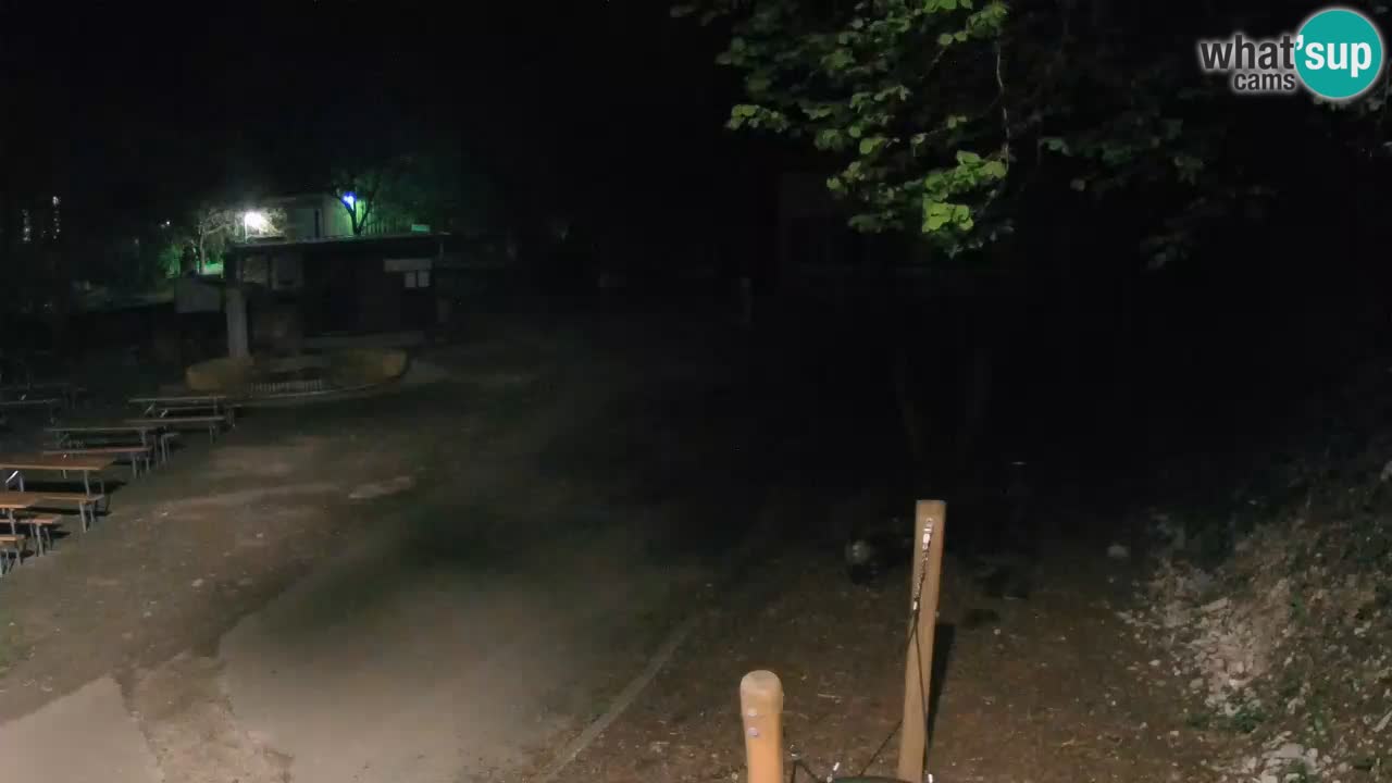 Skrad webcam Zeleni Vir