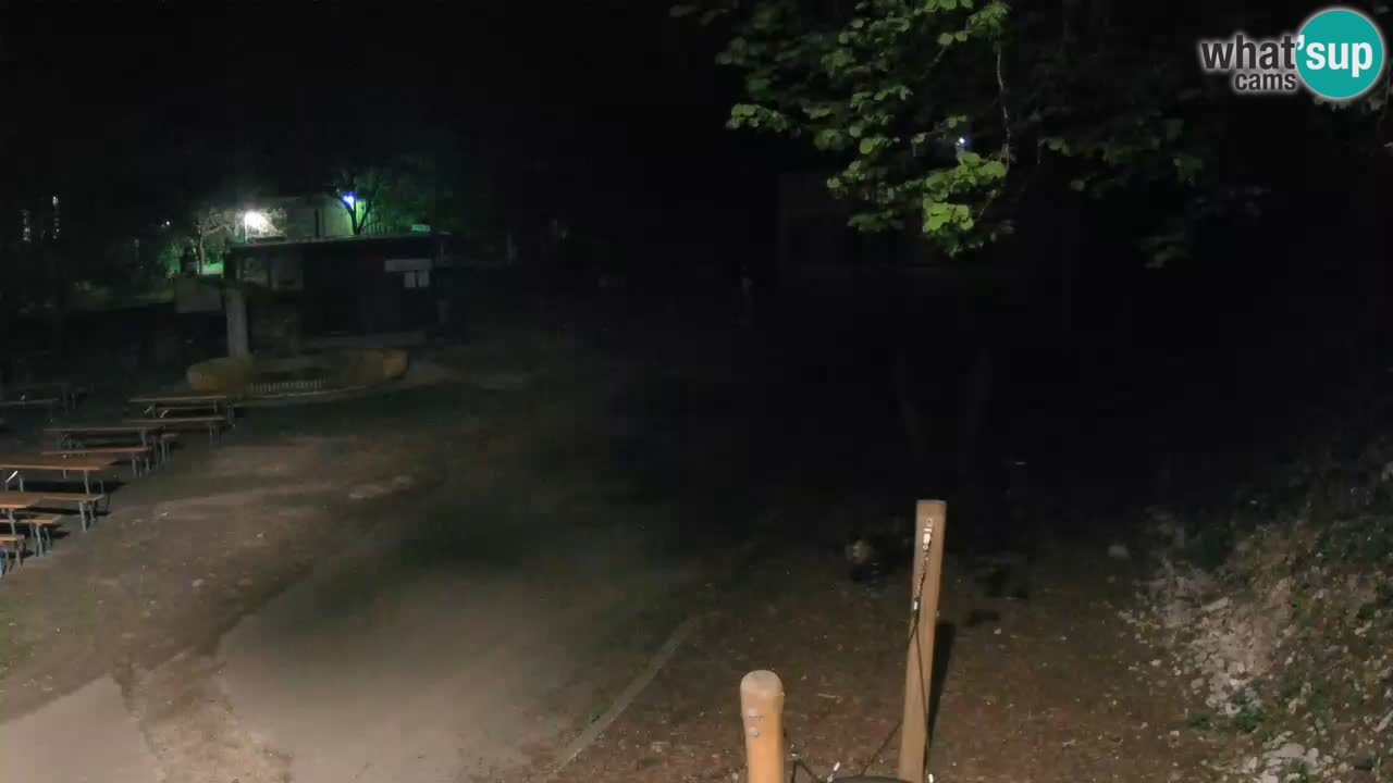 Skrad livecam Zeleni Vir