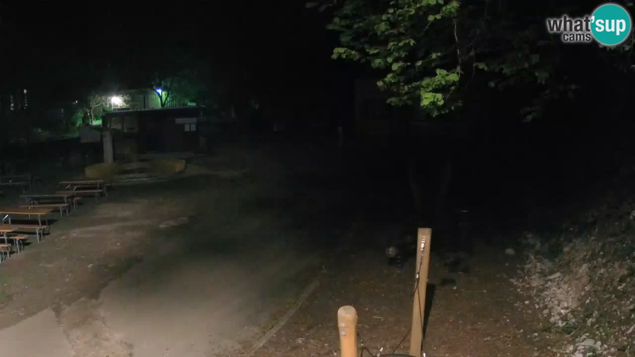 Skrad livecam Zeleni Vir