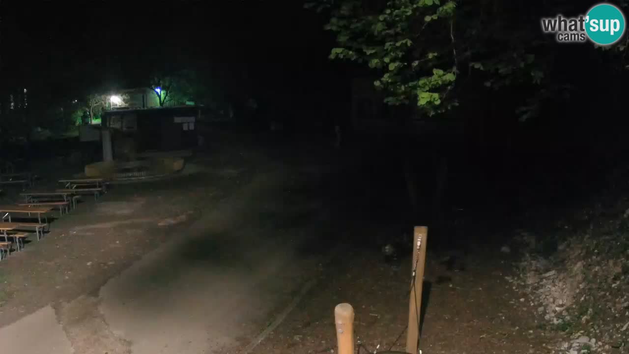 Skrad webcam Zeleni Vir