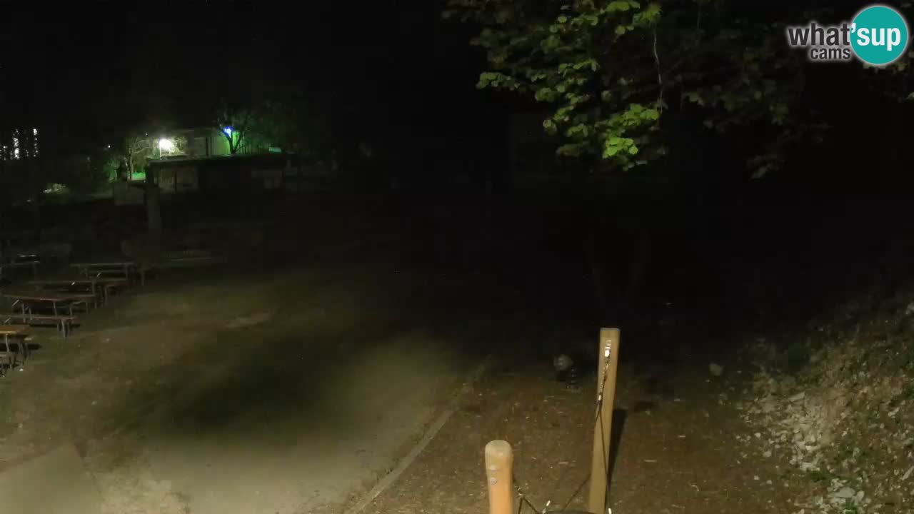 Skrad live cam Zeleni Vir