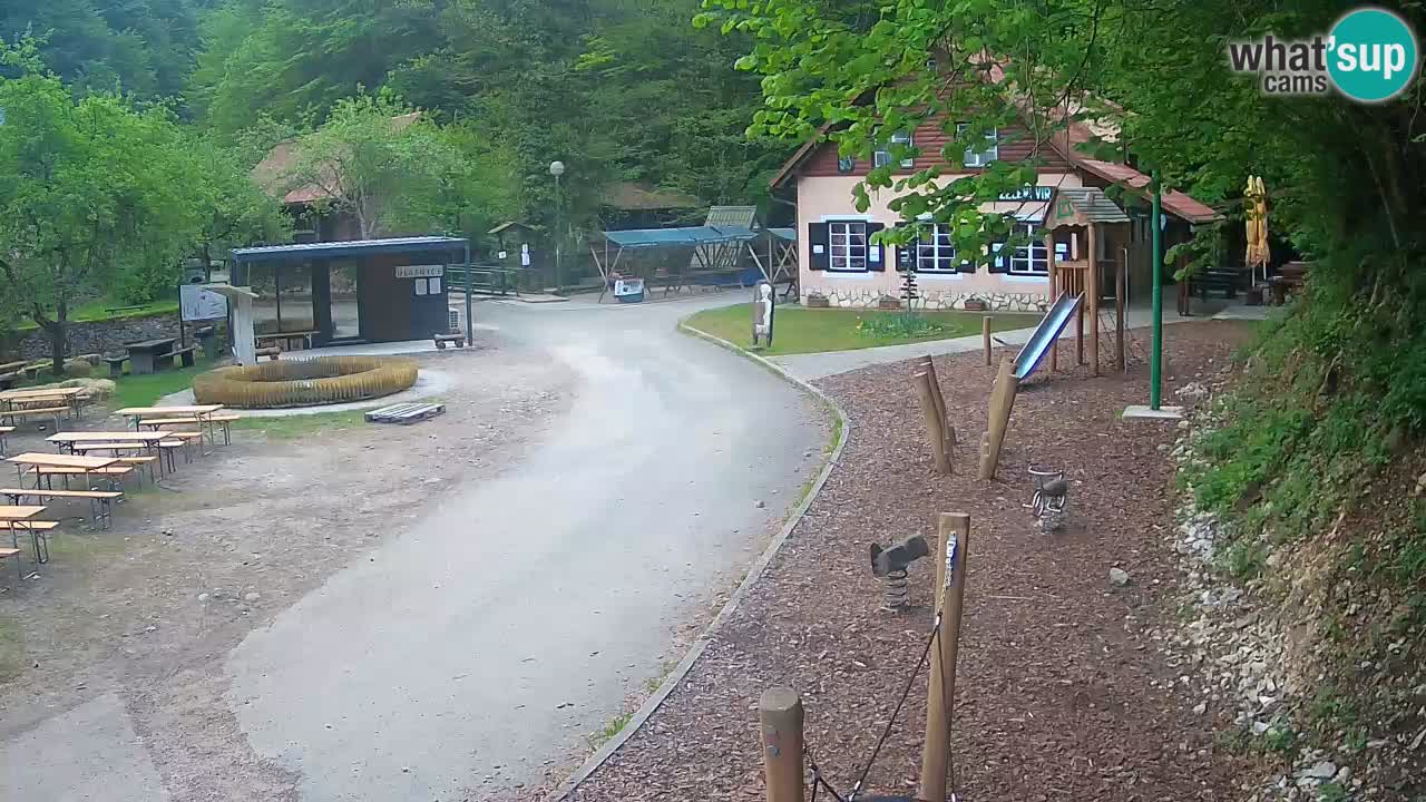 Skrad livecam Zeleni Vir