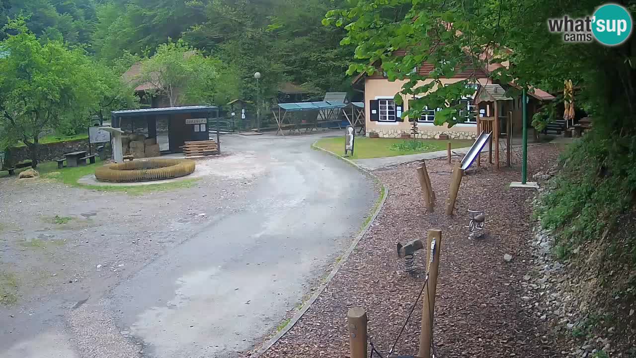 Skrad live cam Zeleni Vir