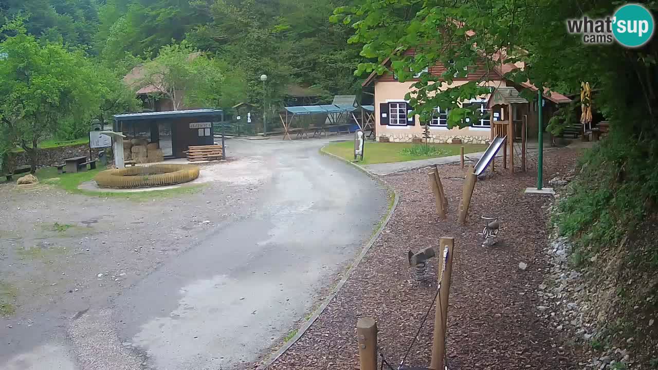 Skrad webcam Zeleni Vir