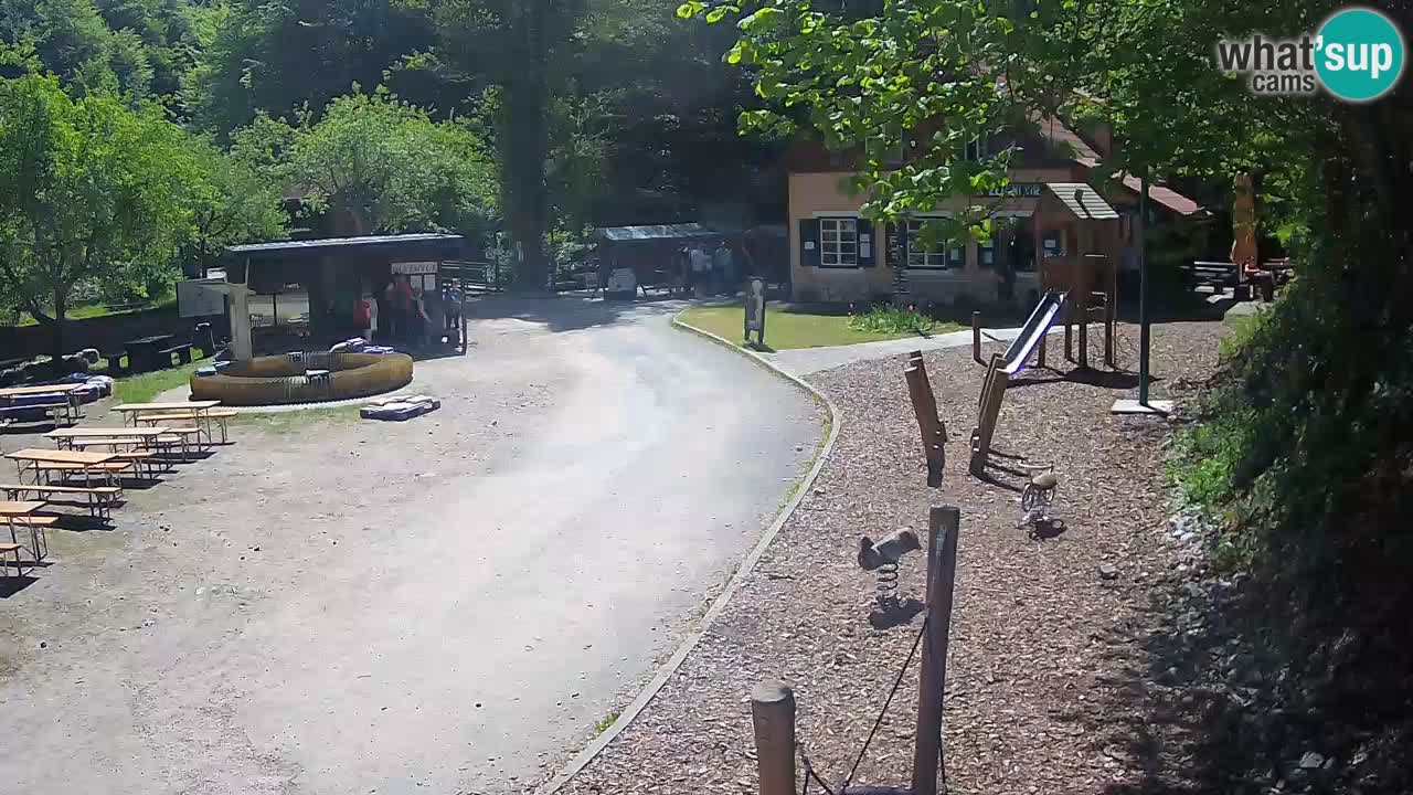 Skrad livecam Zeleni Vir